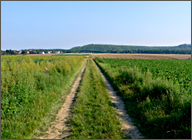 Wiesenweg durch die Felder