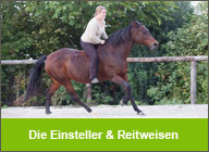Die Einsteller und Reitweisen