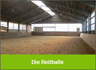 Die Reithalle