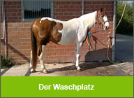 Der Waschplatz