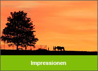 Impressionen