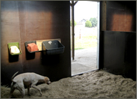 Ansicht einer Box