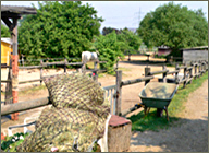 Heunetze