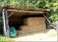 Strohhuette