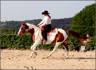 Westernreiter