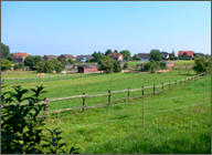 Weideflche